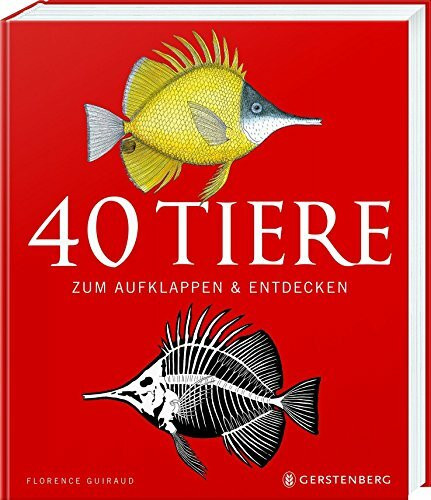 40 Tiere: zum Aufklappen & Entdecken