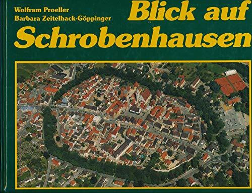 Blick auf Schrobenhausen