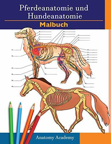 Pferdeanatomie und Hundeanatomie Malbuch: 2-in-1 Zusammenstellung | Unglaublich detailliertes Arbeitsbuch zum Selbsttest für Pferde- und Hundeanatomie ... Tierliebhaber und Erwachsene