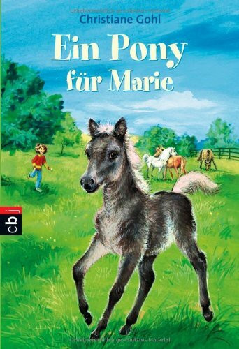 Ein Pony für Marie