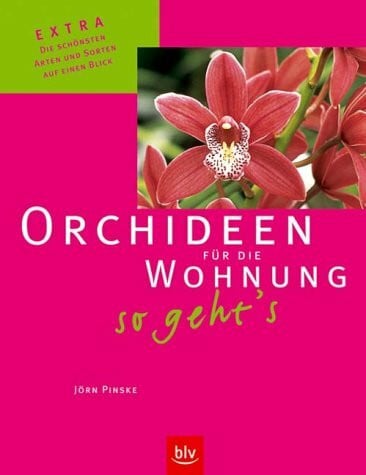 Orchideen für die Wohnung – so geht's: (Stopper:) Extra: Die schönsten Arten und Sorten auf einen Blick