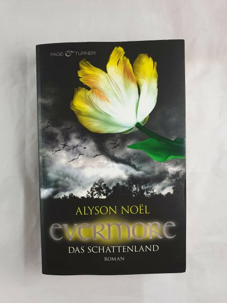 Evermore 3 - Das Schattenland: Roman