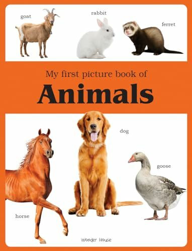 My First Book of Animals