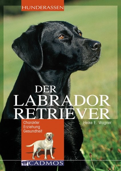 Labrador Retriever: Charakter Erziehung Gesundheit (Cadmos Hunderassen)