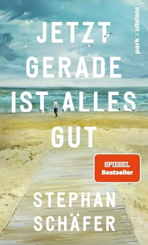 Jetzt gerade ist alles gut: Nach dem SPIEGEL-Bestseller "25 letzte Sommer" - der neue Roman von Erfolgsautor Stephan Schäfer