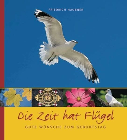 Die Zeit hat Flügel: Gute Wünsche zum Geburtstag (SJD-Bild-Text-Bände)