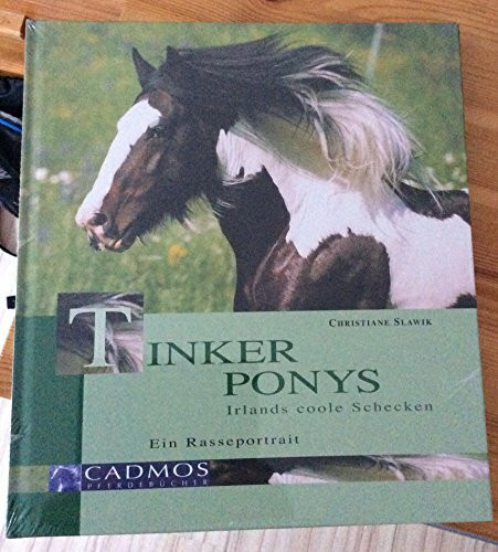 Tinker Ponys: Irlands coole Schecken