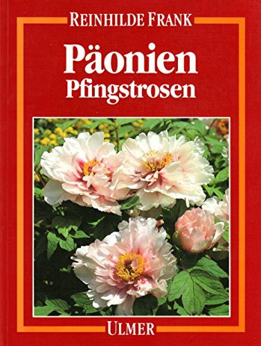Päonien: Pfingstrosen