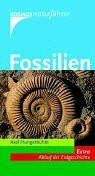 Fossilien. Extra: Ablauf der Erdgeschichte