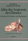 Atlas der Anatomie des Hundes: Lehrbuch für Tierärzte und Studierende