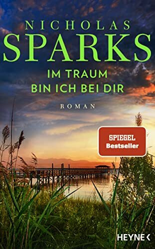 Im Traum bin ich bei dir: Roman