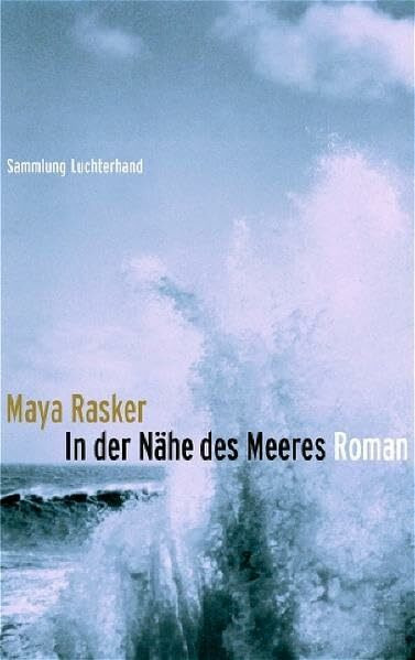 In der Nähe des Meeres: Roman