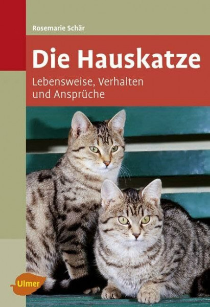 Die Hauskatze: Lebensweise, Verhalten und Ansprüche
