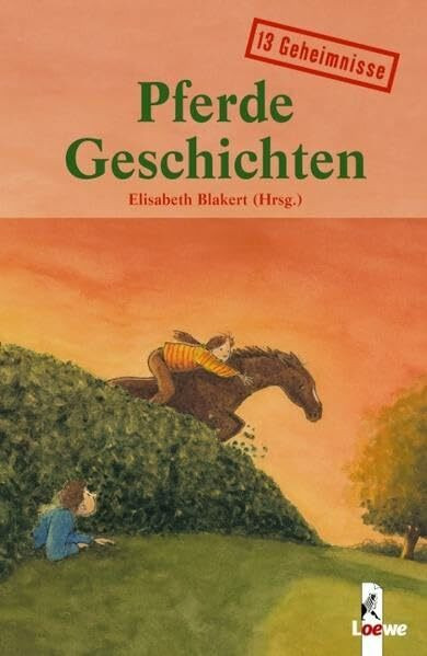 Pferdegeschichten: 13 Geheimnisse