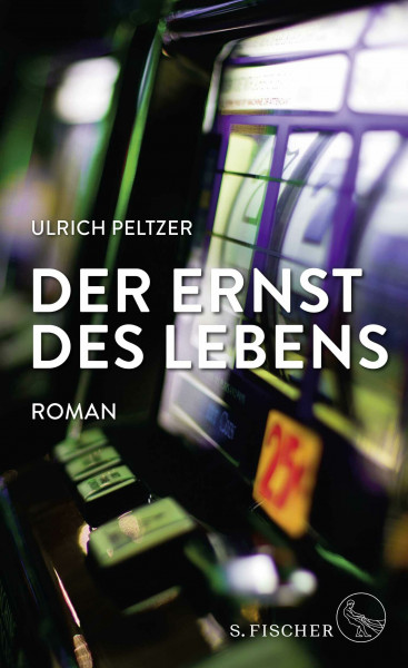 Der Ernst des Lebens: Roman