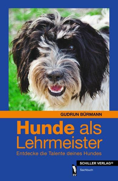 Hunde als Lehrmeister: Entdecke die Talente deines Hundes