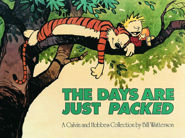 The Days Are Just Packed: A Calvin and Hobbes Collection (Volume 9)