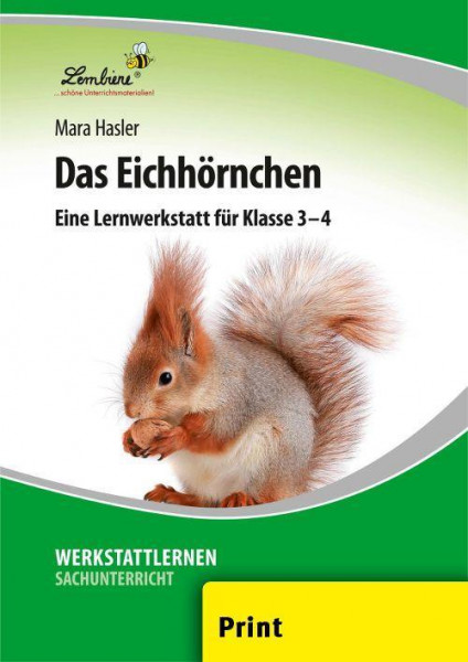 Das Eichhörnchen