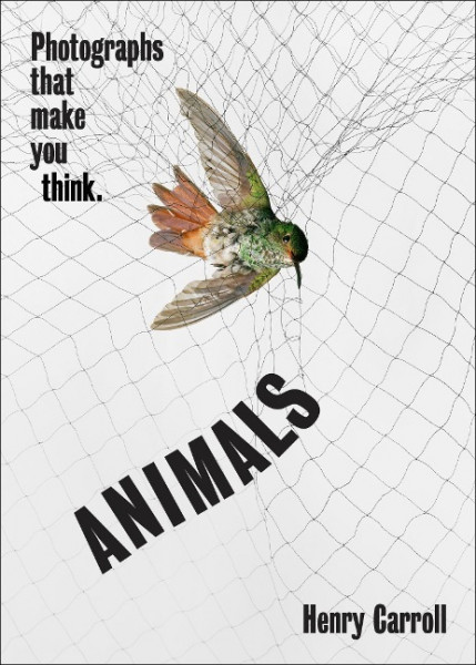 Animals: Photographs That Make You Think