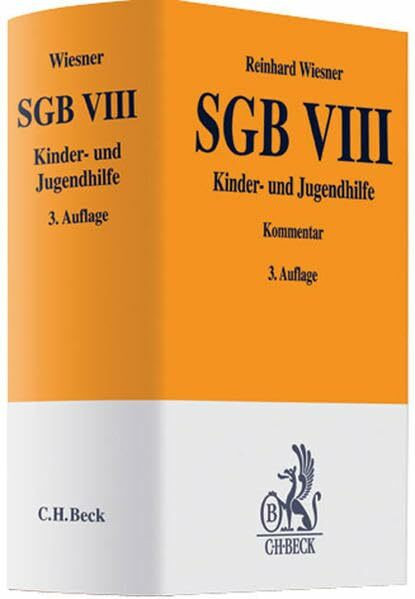 SGB VIII: Kinder- und Jugendhilfe (Gelbe Erläuterungsbücher)