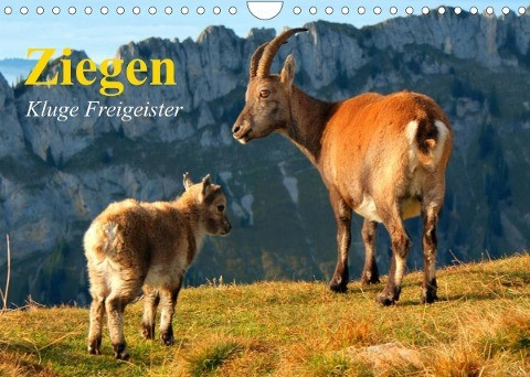 Ziegen. Kluge Freigeister (Wandkalender 2022 DIN A4 quer)