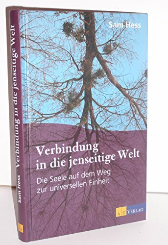 Verbindung in die jenseitige Welt: Die Seele auf dem Weg zur universellen Einheit