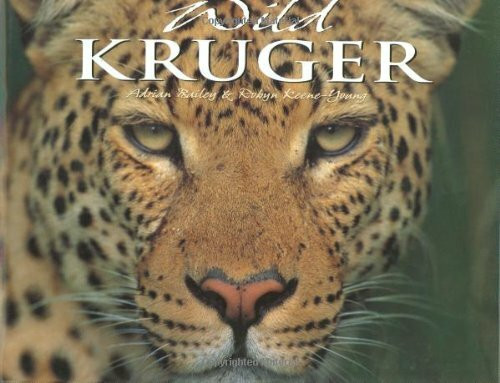 Wild Kruger