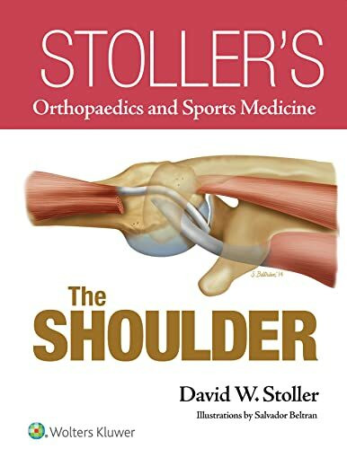 The Shoulder (Stoller's Orthopaedics and Sports Medicine)