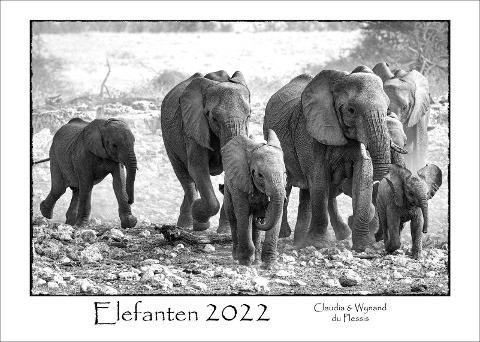 ELEFANTEN - Kalender 2022 (A3 Format)