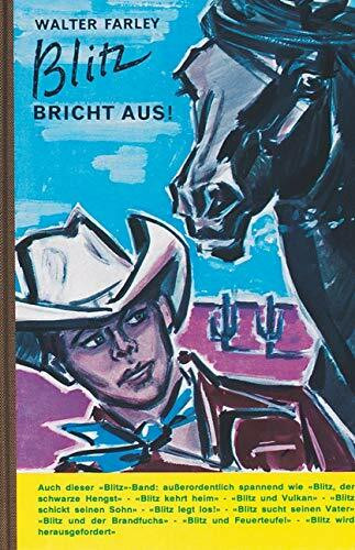 Blitz, Bd.5, Blitz bricht aus