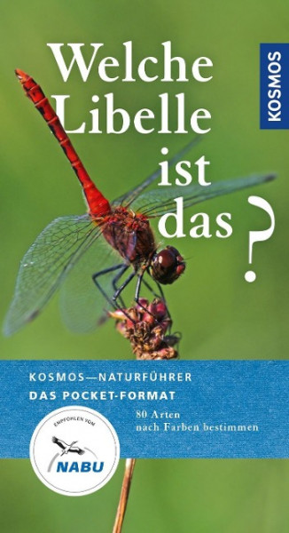 Welche Libelle ist das?