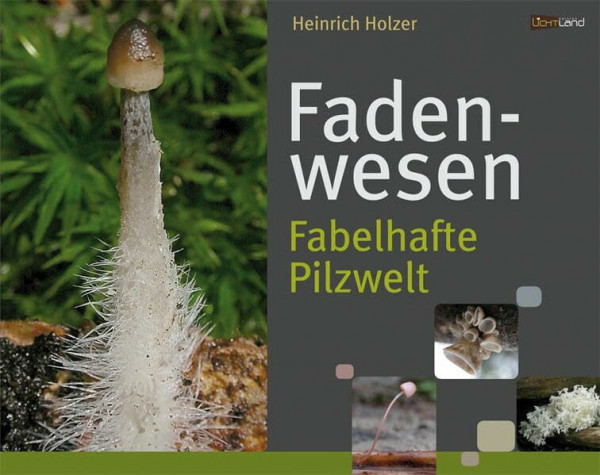 Fadenwesen: Fabelhafte Pilzwelt