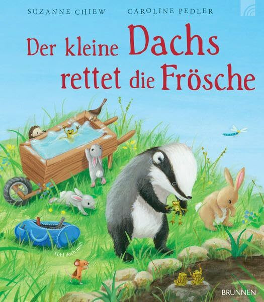 Der kleine Dachs rettet die Frösche: Bilderbuch