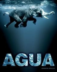Agua (General, Band 1)