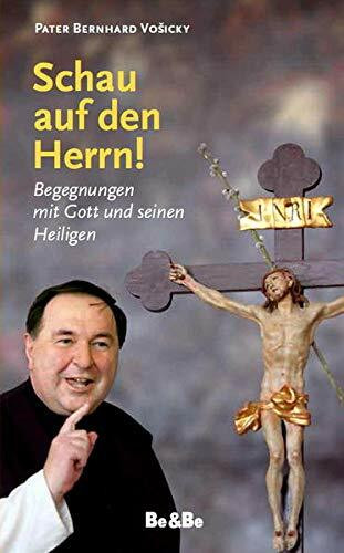 Schau auf den Herrn!: Begegnungen mit Gott und seinen Heiligen