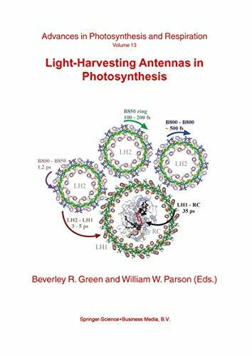 Light-Harvesting Antennas in Photosynthesis (Advances in Photosynthesis and Respiration, 13, Band 13)