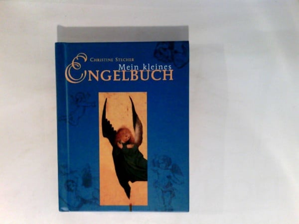 Mein kleines Engelbuch