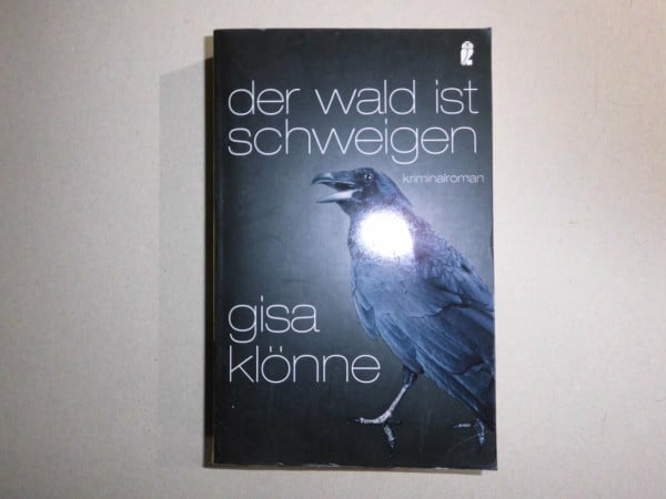 Der Wald ist Schweigen: Judith Kriegers erster Fall (Ein Judith-Krieger-Krimi)