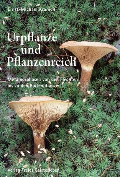 Urpflanze und Pflanzenreich: Metarmorphosen von den Flechten bis zu den Blütenpflanzen