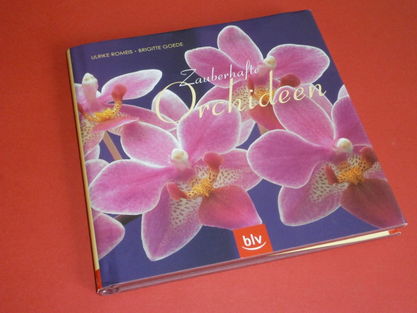 Zauberhafte Orchideen