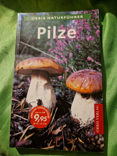 Pilze