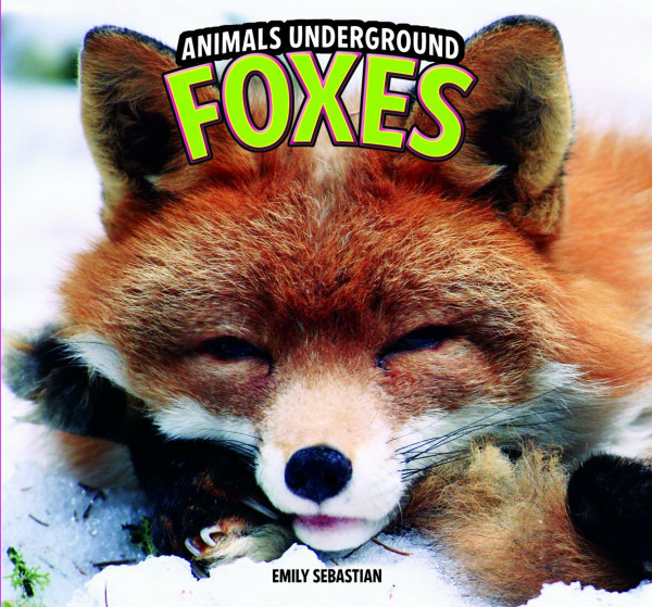 Foxes (Animals Underground)
