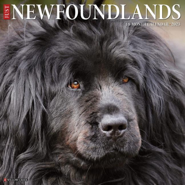 Just Newfoundlands 2023 Wall Calendar