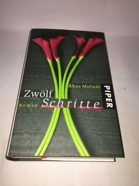 Zwölf Schritte: Roman