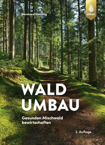 Waldumbau: Gesunden Mischwald bewirtschaften