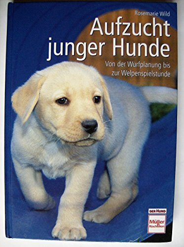 Aufzucht junger Hunde: Von der Wurfplanung bis zur Welpenspielstunde