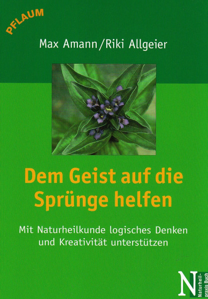 Dem Geist auf die Sprünge helfen: Mit Naturheilkunde logisches Denken und Kreativität unterstützen