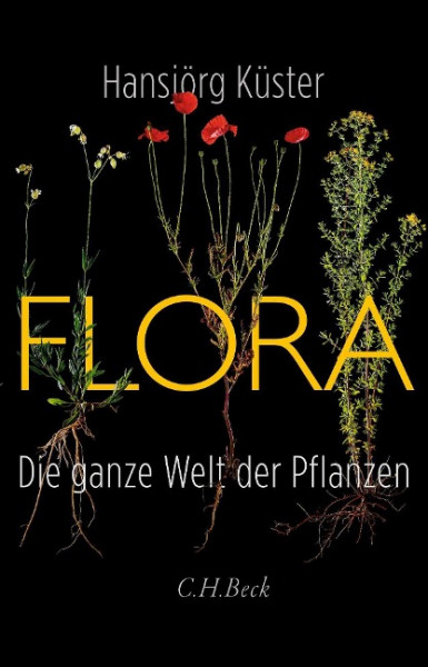 Flora