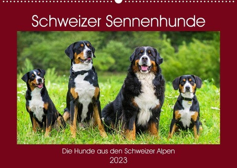 Schweizer Sennenhunde - die Hunde aus den Schweizer Alpen (Wandkalender 2023 DIN A2 quer)