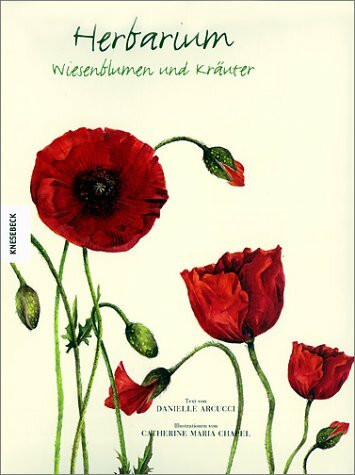 Herbarium: Wiesenblumen und Kräuter
